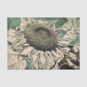 Giant Sunflower Vintage Green Beige Decoupage Tissue Paper