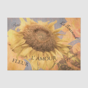 Giant Sunflowers Country Yellow Grey Script Tissue Paper