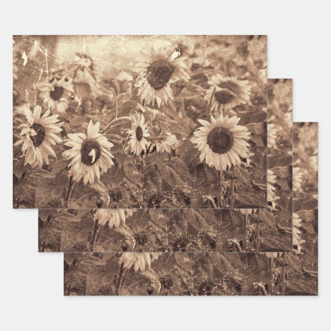 Giant Sunflowers Floral Sepia Texture Decoupage Wrapping Paper Sheet (Set)