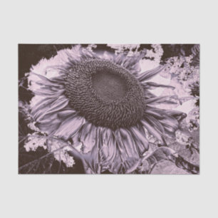 Giant Sunflowers Rustic Purple Mauve Vintage Tissue Paper