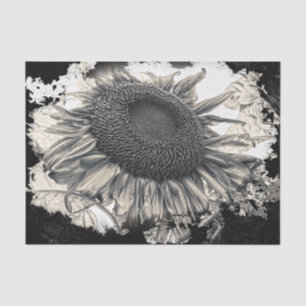 Giant Sunflowers Sepia Black White Vintage Tissue Paper