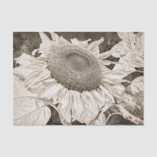 Giant Sunflowers Sepia Brown Texture Art Decoupage Tissue Paper