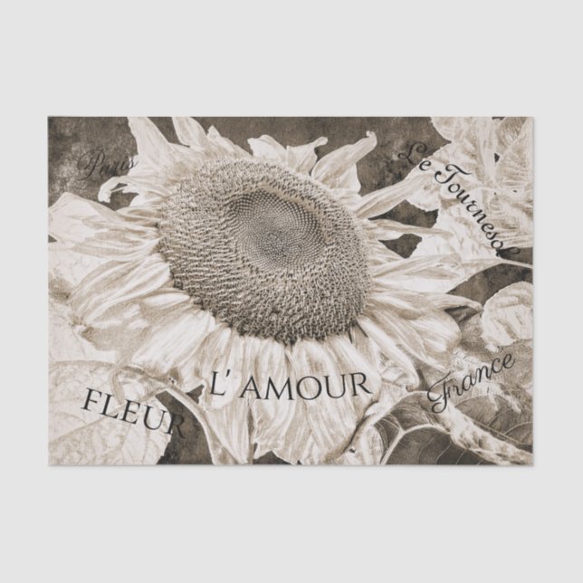 Giant Sunflowers Sepia Brown Texture Art Script Tissue Paper (Front)
