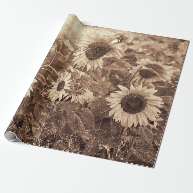 Giant Sunflowers Sepia Floral Texture Decoupage Wrapping Paper (Unrolled)