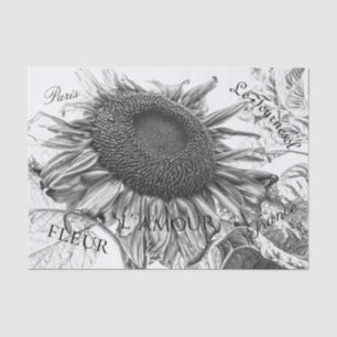Giant Sunflowers Vintage Black And White Script Tissue Paper