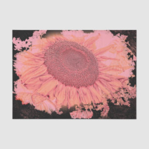 Giant Sunflowers Vintage Pink Orange Vignette Tissue Paper