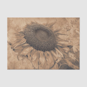 Giant Sunflowers Vintage Sepia Brown Decoupage Art Tissue Paper
