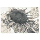 Giant Sunflowers Vintage Sepia Decoupage Art