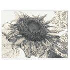 Giant Sunflowers Vintage Sepia Decoupage Art