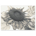 Giant Sunflowers Vintage Sepia Decoupage Art