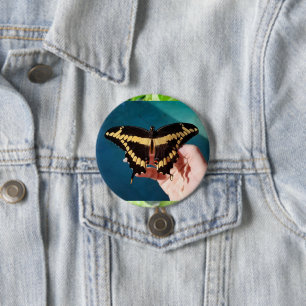 Giant Swallowtail Butterfly 7.5 Cm Round Badge