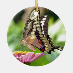 Giant Swallowtail Butterfly Ceramic Tree Decoration