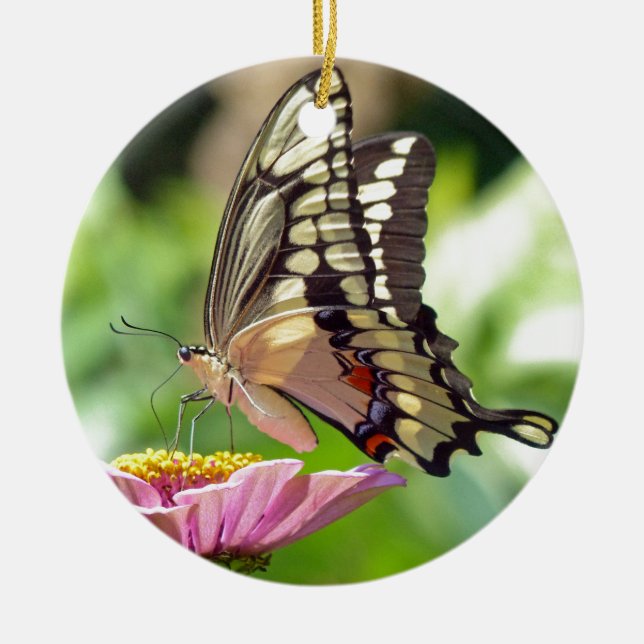 Giant Swallowtail Butterfly Ceramic Tree Decoration (Front)