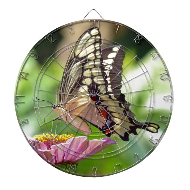 Giant Swallowtail Butterfly Dartboard (Front)