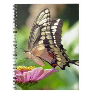 Giant Swallowtail Butterfly Notebook