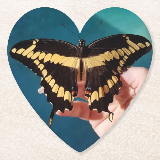 Giant Swallowtail Butterfly Paper Coaster (Front)