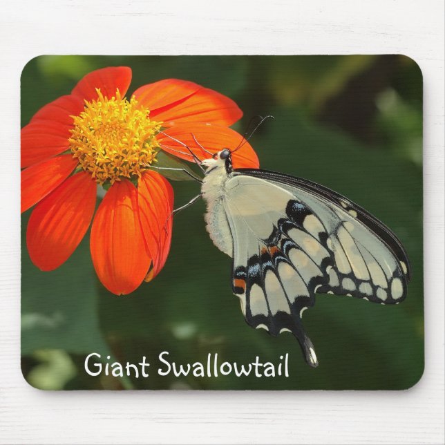 Giant Swallowtail mousepad (Front)