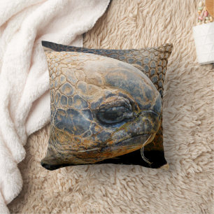 GIANT TORTOISE CUSHION