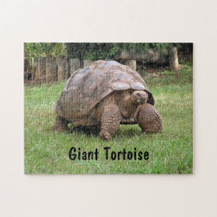 Giant Tortoise Jigsaw Puzzle