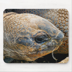 GIANT TORTOISE MOUSE PAD