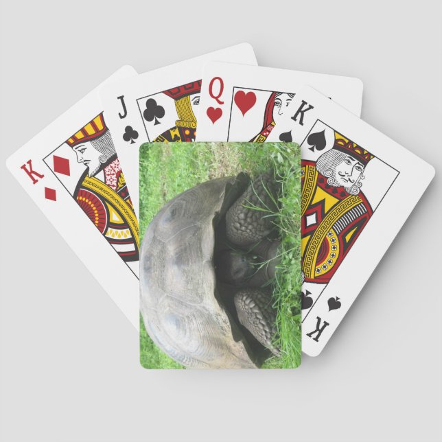 Giant Tortoise Playing Cards (Back)