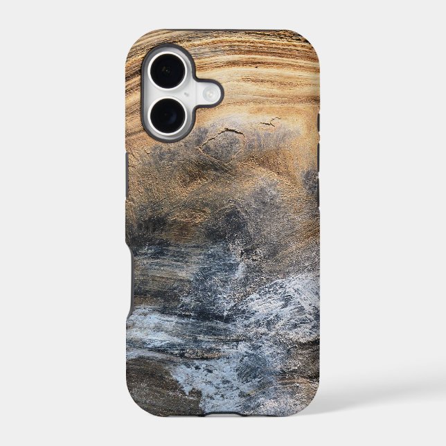 GIANT TORTOISE SHELL (Back)