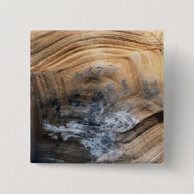 GIANT TORTOISE SHELL 15 CM SQUARE BADGE (Front)