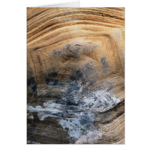 GIANT TORTOISE SHELL CARD