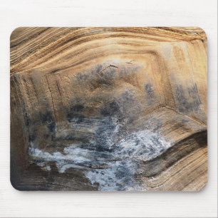GIANT TORTOISE SHELL MOUSE PAD