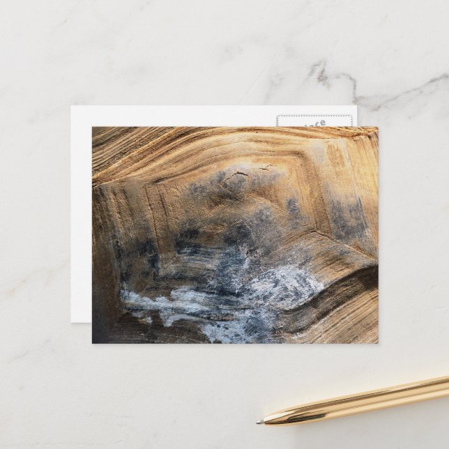 GIANT TORTOISE SHELL POSTCARD (Front/Back In Situ)