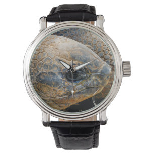 GIANT TORTOISE WATCH