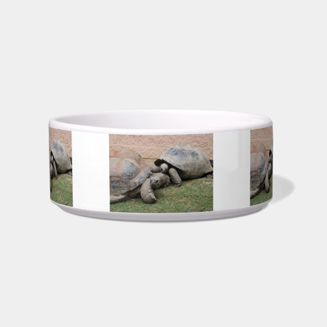 giant tortoises bowl (Front)