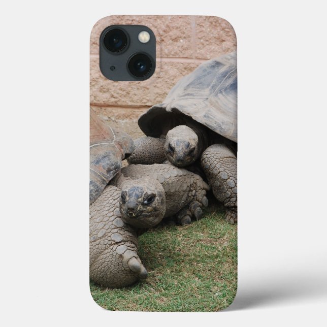 giant tortoises Case-Mate iPhone case (Back)