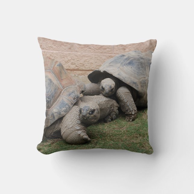 giant tortoises cushion (Front)