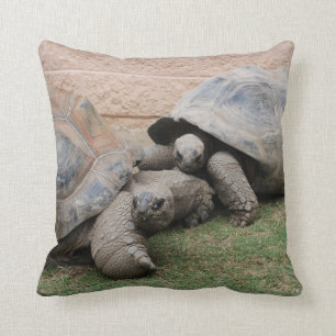 giant tortoises cushion