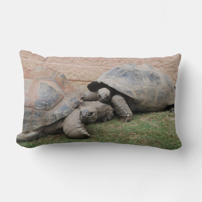giant tortoises lumbar cushion (Front)