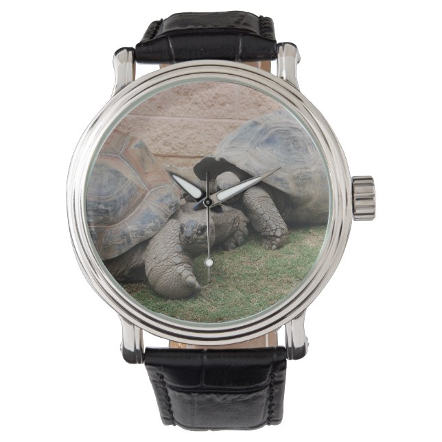 giant tortoises watch (Front)