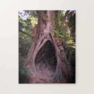 Giant Tree, Meditation Cave / Forest at sunset Jigsaw Puzzle