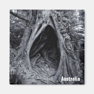 Giant Tree, Tree Hugger, Australia (Fridge Magnet) Magnet