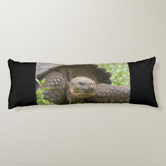 Giant turtle body cushion (Back)