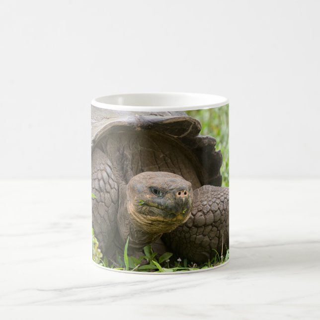 Giant turtle coffee mug (Center)
