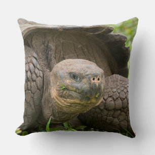 Giant turtle cushion