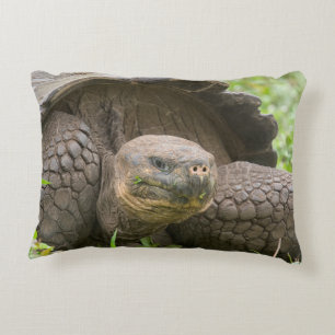 Giant turtle decorative cushion