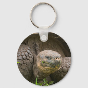 Giant turtle key ring