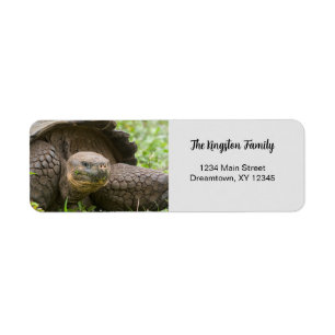 Giant Turtle photo personalised Return Address Label