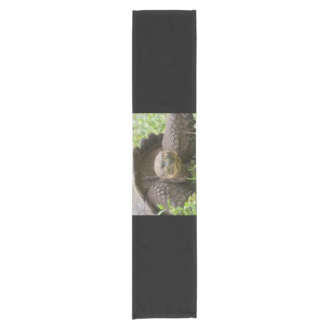 Giant turtle short table runner (Front)