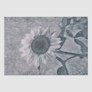 Giant Vintage Sunflower Black And White Texture Tissue Paper