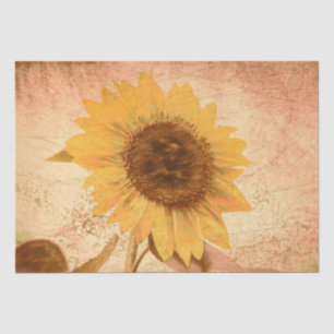 Giant Vintage Sunflower Sepia Brown Yellow Texture Tissue Paper
