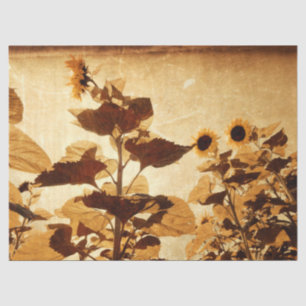 Giant Vintage Sunflowers Sepia Decoupage Art Tissue Paper