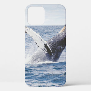 Giant Whale Jumps Out Of Ocean  iPhone 12 Case